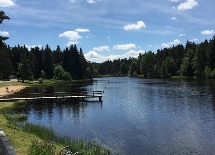 Gite Des 3 Etangs Malvières المظهر الخارجي الصورة